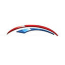 Synectic Solutions Inc logo