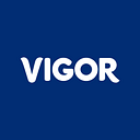 Vigor, LLC logo