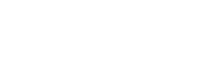 Wiser logo