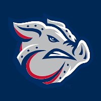 Lehigh Valley IronPigs logo