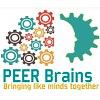 PeerBrains Technologies logo