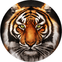 Tiger Correctional Services logo