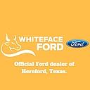 Whiteface Ford logo