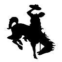 Smackover-Norphlet School District logo