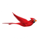 Cardinal Technology Systems logo