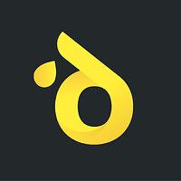 Schaal Group logo
