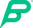 Peter Park System logo