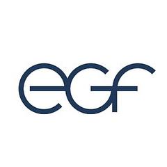 egf - Eduard G. Fidel GmbH logo