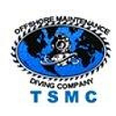 TSMC logo