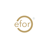 Efor Group logo