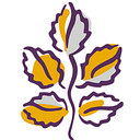 Telecare Corporation logo