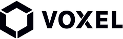 Voxel logo