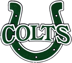 Cloverleaf High School logo