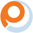 payless markets logo