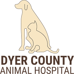 Dyer County  Animal Hospital logo