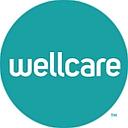 Well Care Health logo