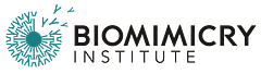 The Biomimicry Institute logo