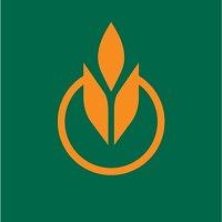 The Culinary Institute of America  logo