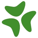 Bloomerang logo