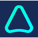 Anyone AI logo