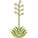 DESERT BOTANICAL GARDEN logo