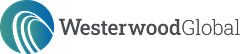 Wgnstar logo